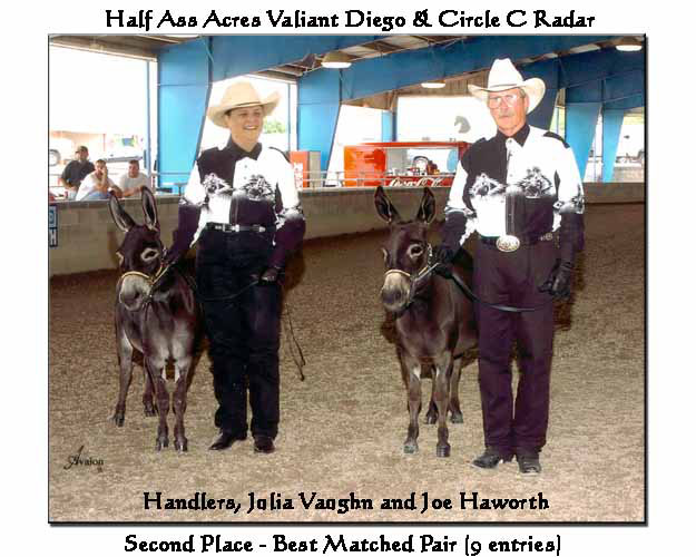 Half Ass Acres 'Valiant Diego'