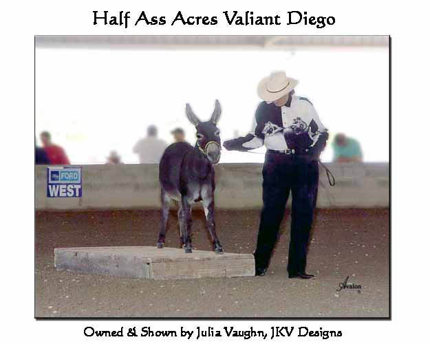 Half Ass Acres 'Valiant Diego'