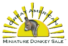 Made Exclusively for The Elms Miniature Donkey Farm
