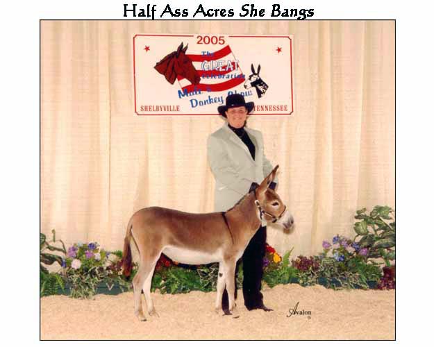 She Bangs & Julia