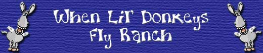 Made exclusively for When Lil' Donkeys Fly Ranch