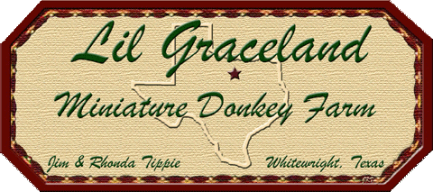 Made Exclusively For Lil Graceland Miniature Donkey Farm