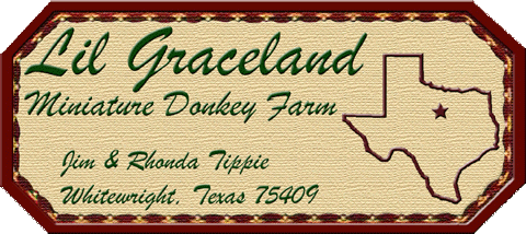 Made Exclusively for Lil Graceland Miniature Donkey Farm