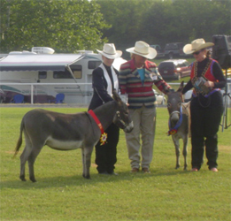 Jose Grand Reserve Champion