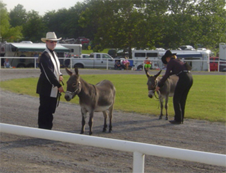 Jose Grand Reserve Champion