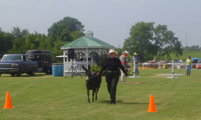 Julia & Diego In Hand Trail