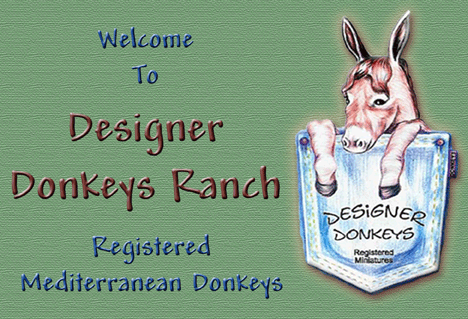 Made exclusively for Designer Donkeys Ranch
