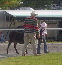 Halter Class Shelby & Radar